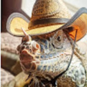 Meet your Posher, Cara